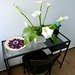 Szálloda Andolfi 24 *